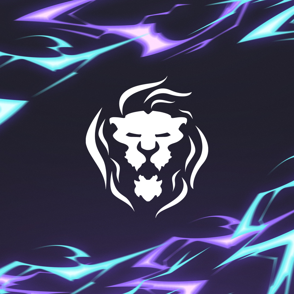 Copyright Lyon e-sport