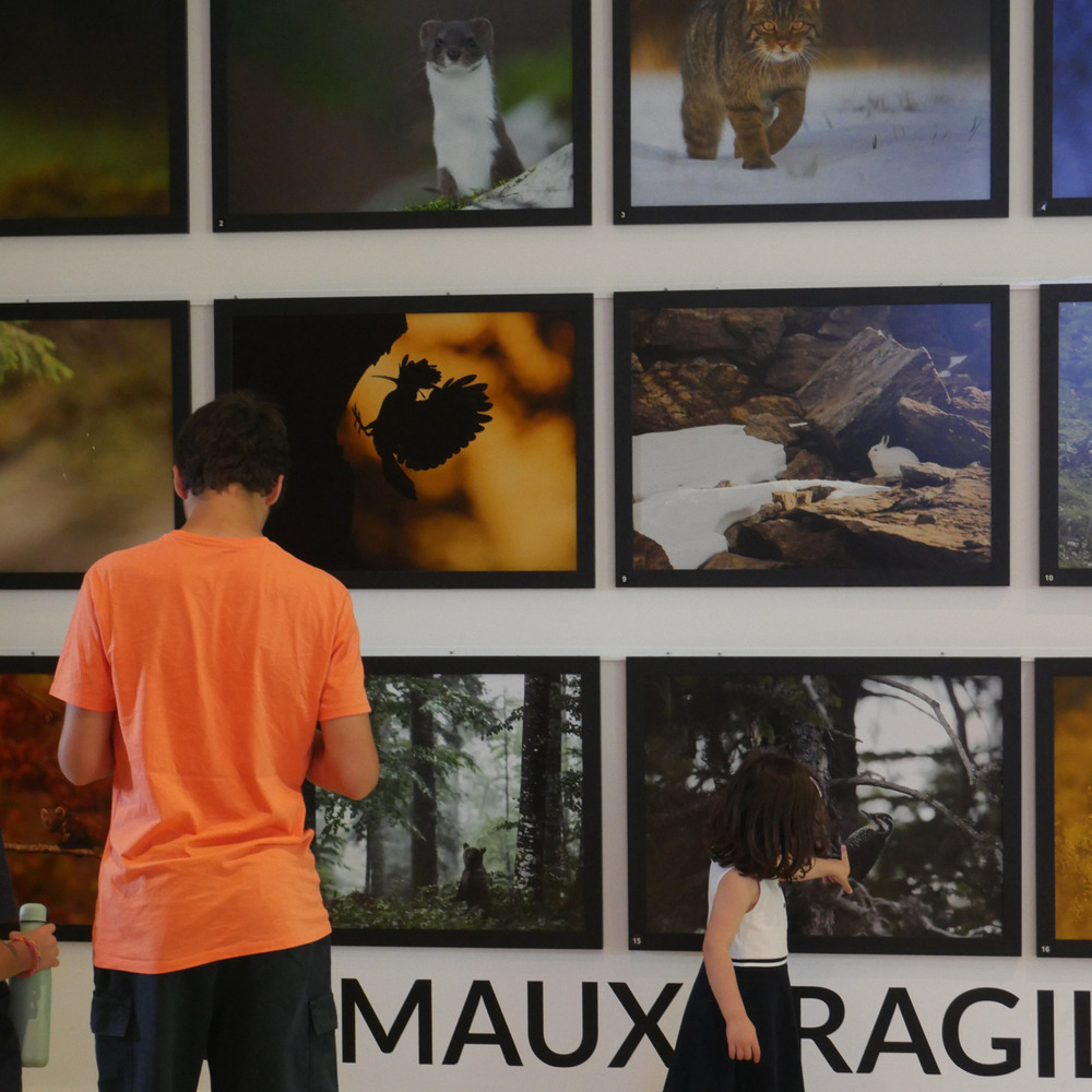 Copyright Fondation GoodPlanet