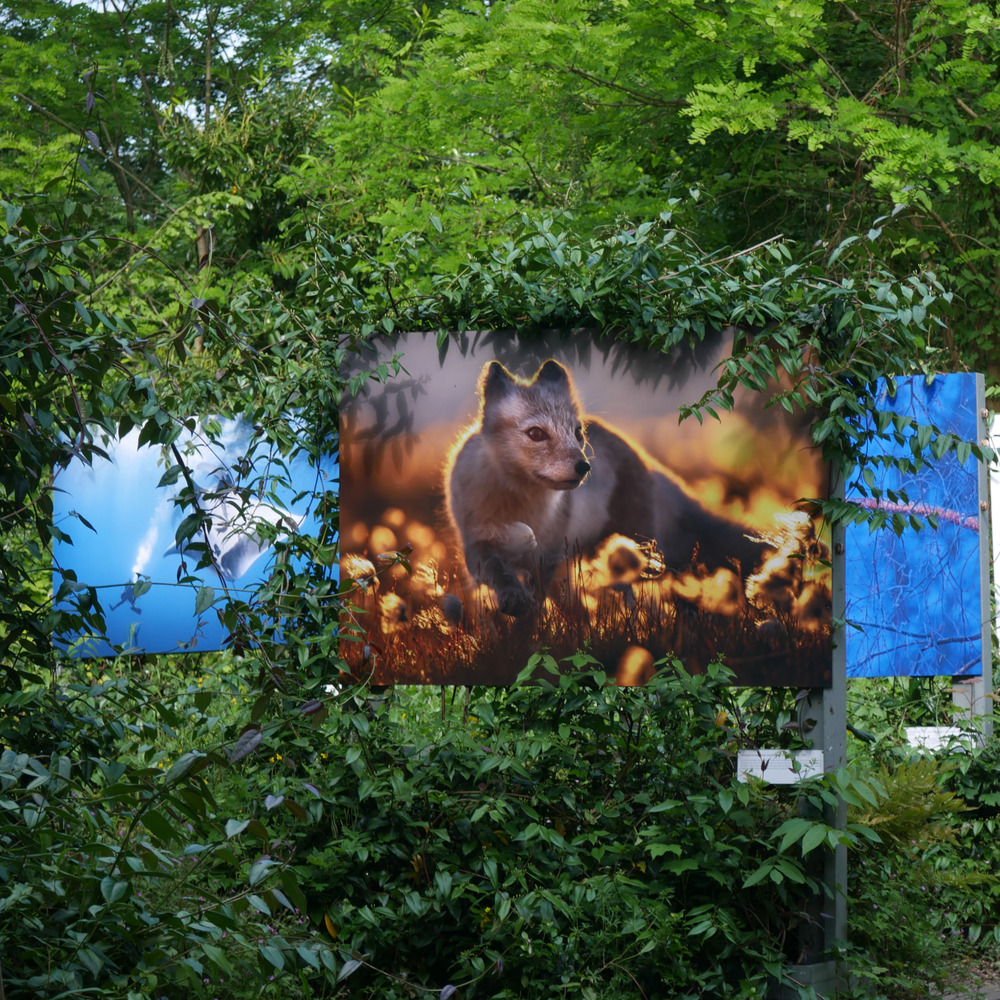 Copyright Fondation GoodPlanet