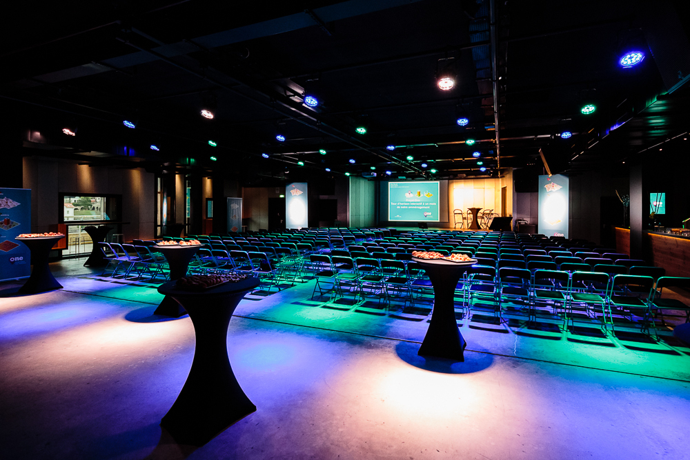 Copyright Brice ROBERT