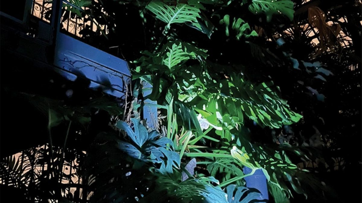 Copyright Sébastien Seurre