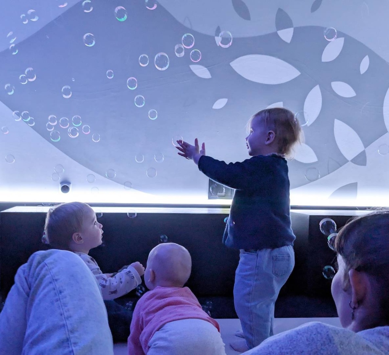 Copyright © musée des Confluences - S. Roux