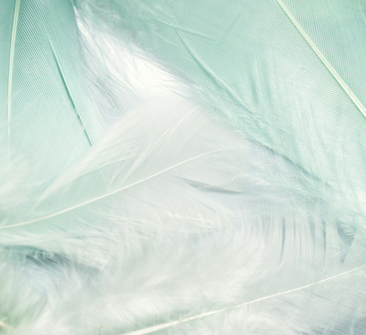 Copyright © pexels Artempodrez