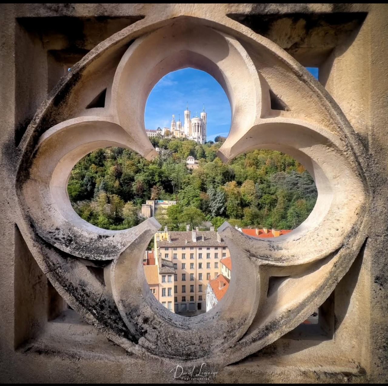 Copyright David Lemoine