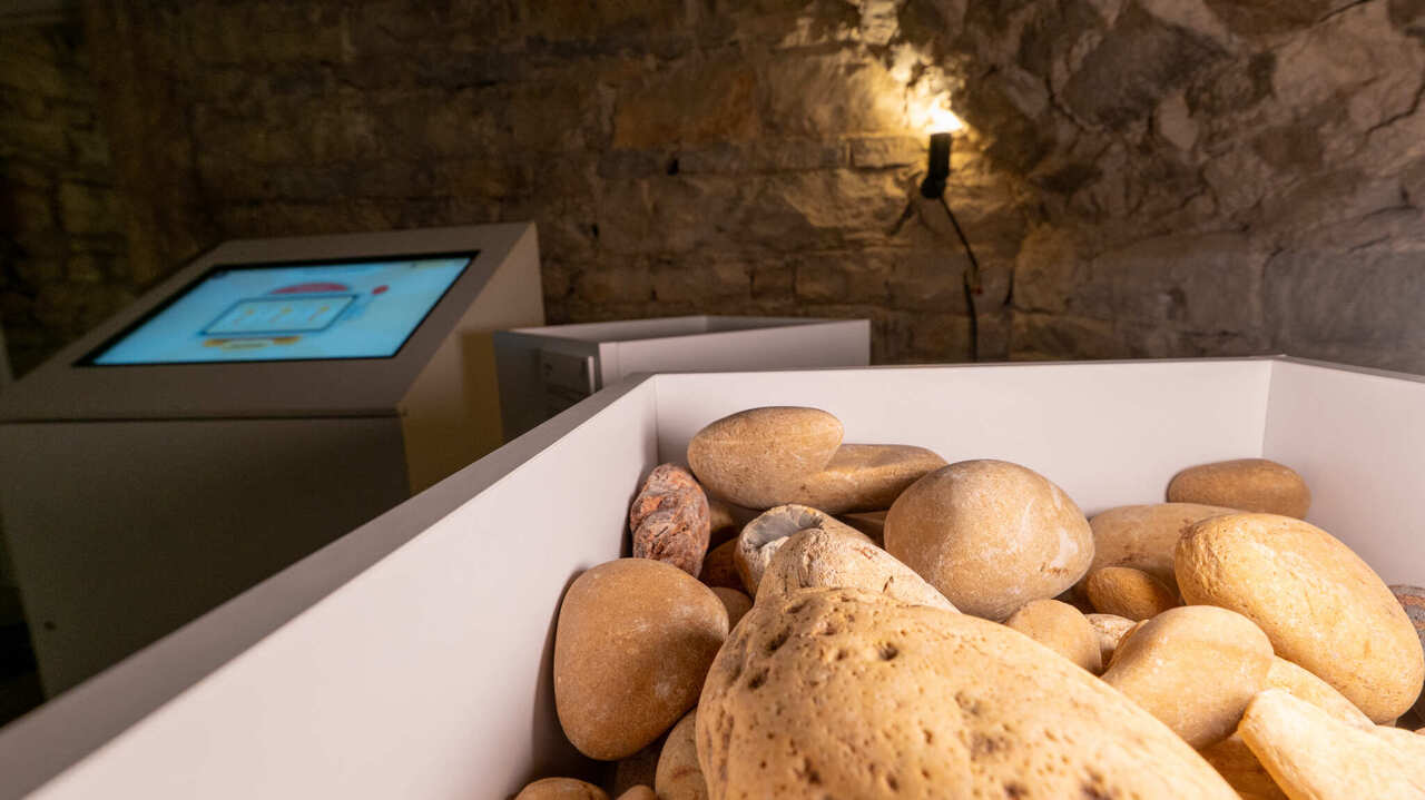 Copyright La Petite Camera