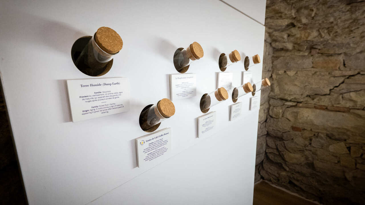 Copyright La Petite Camera