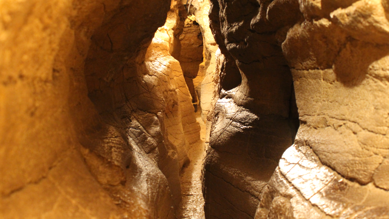 Copyright Grottes de la Balme