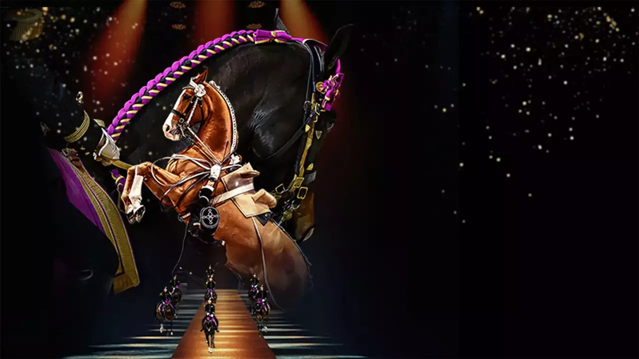 Copyright LDLC Arena