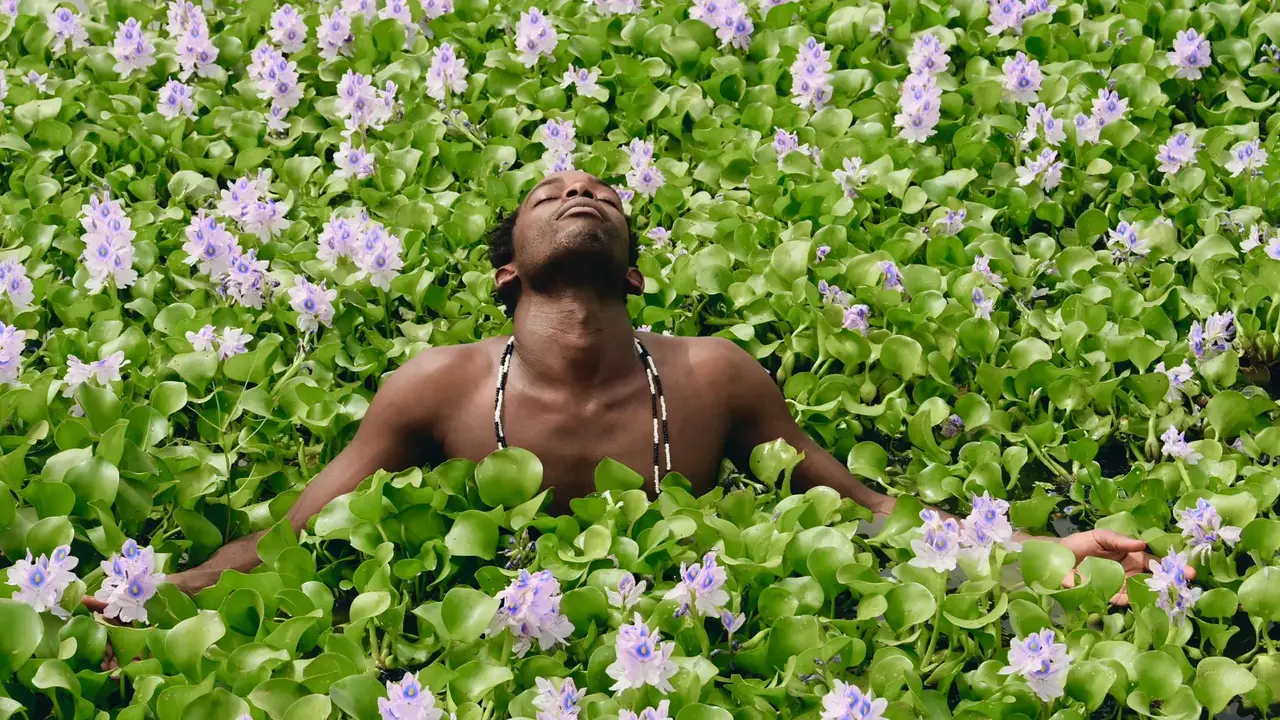 Copyright Les Subs
