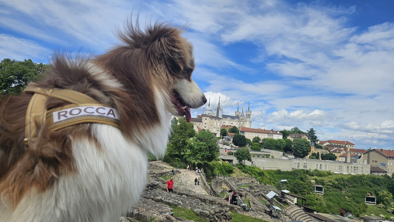 Copyright Rocca