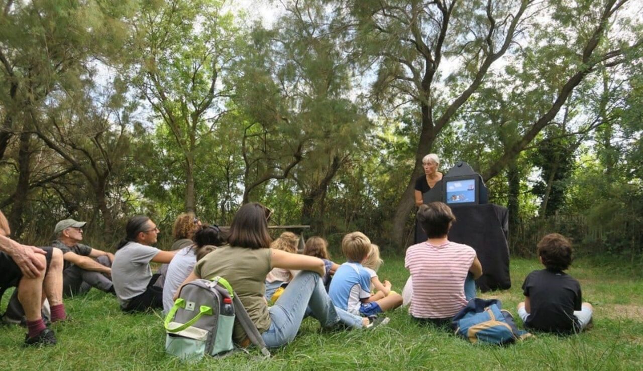 Copyright Catherine Chion