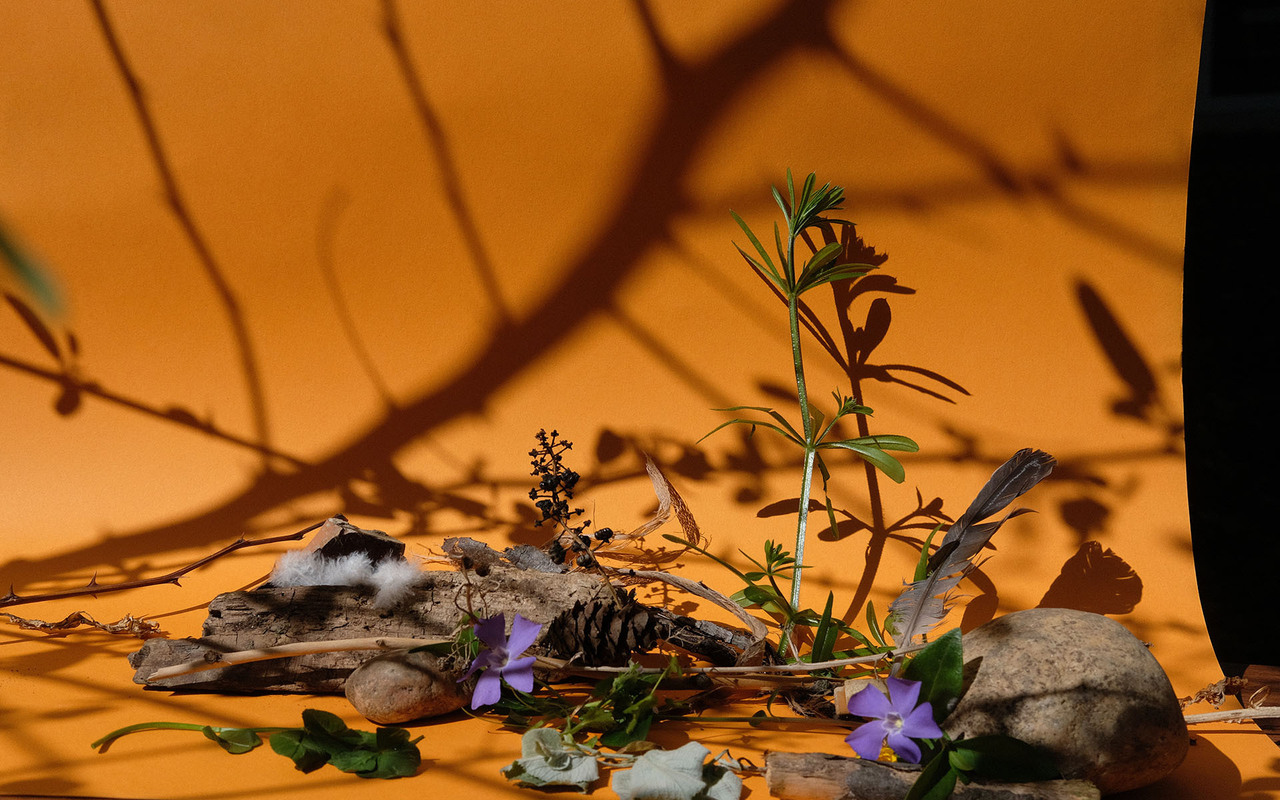 Copyright Florence Croizier