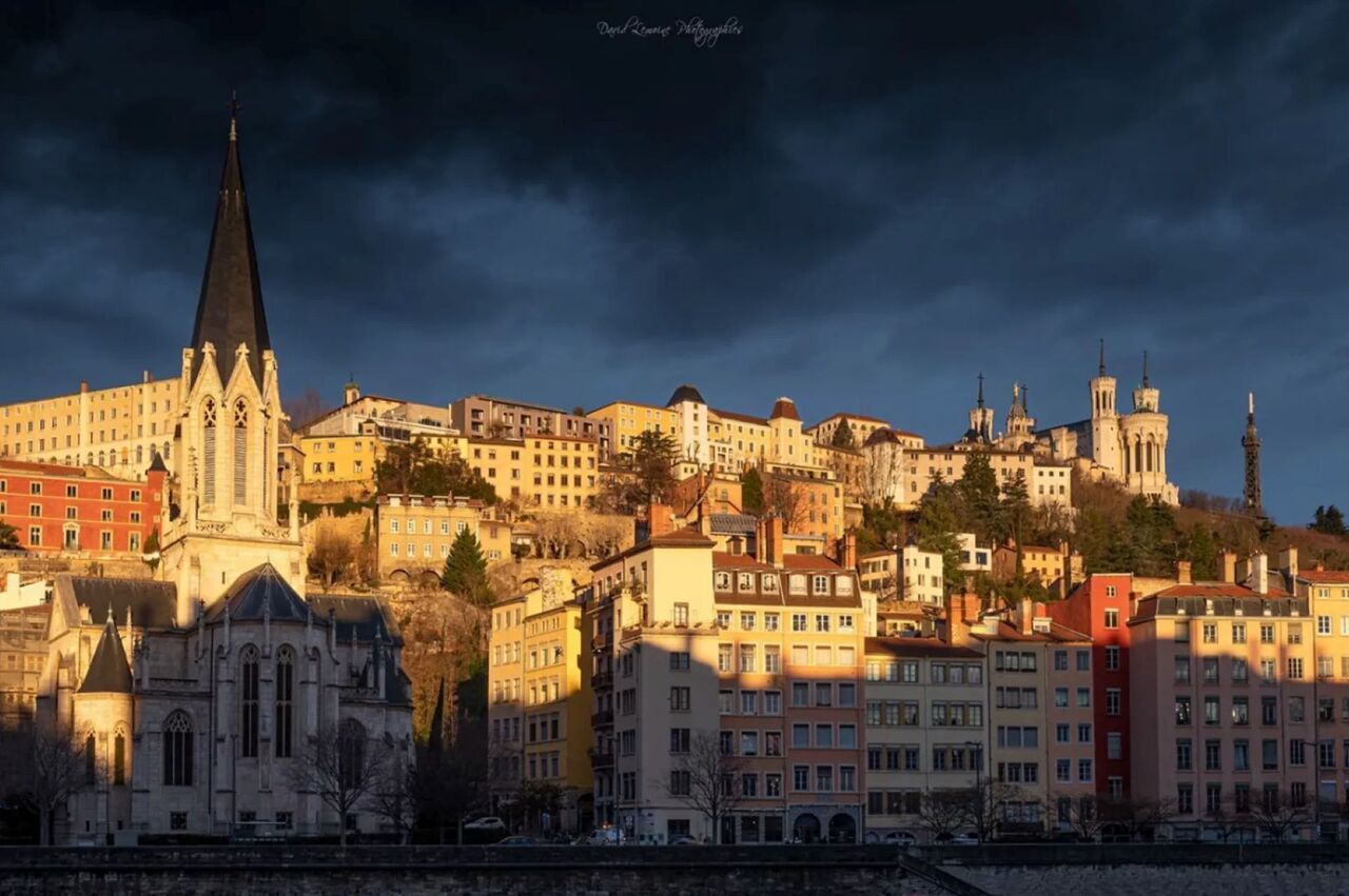 Copyright Lyon & Grace