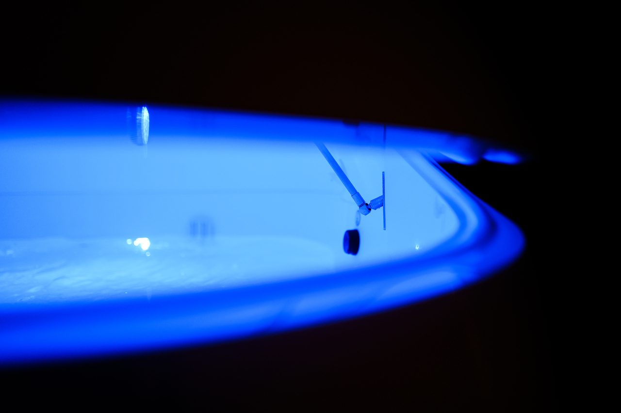 Copyright GRAVITI 2020