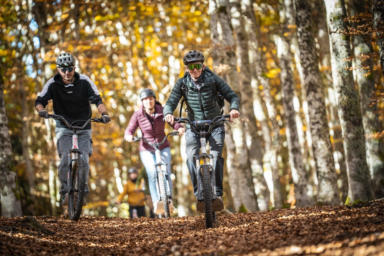 Copyright Benjamin Becker