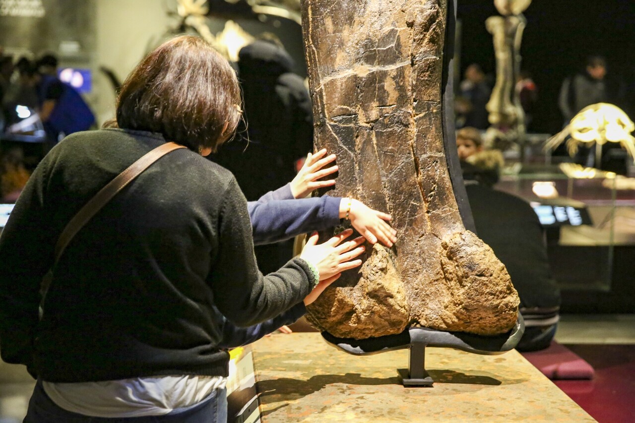 Copyright Objets à toucher © musée des Confluences – Yannick Saunier