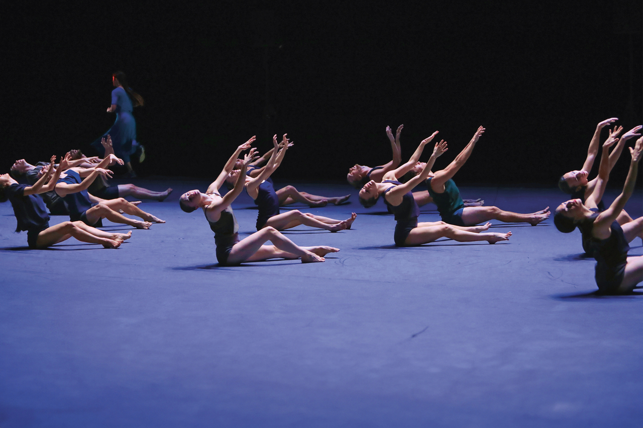 Copyright © Ascaf - Batsheva Company