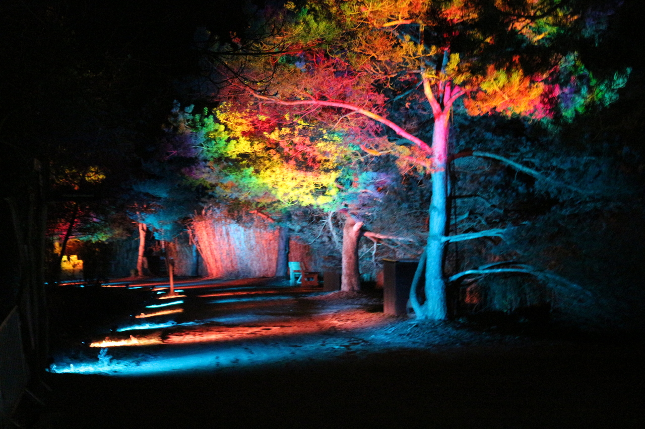 Copyright Claire Curt