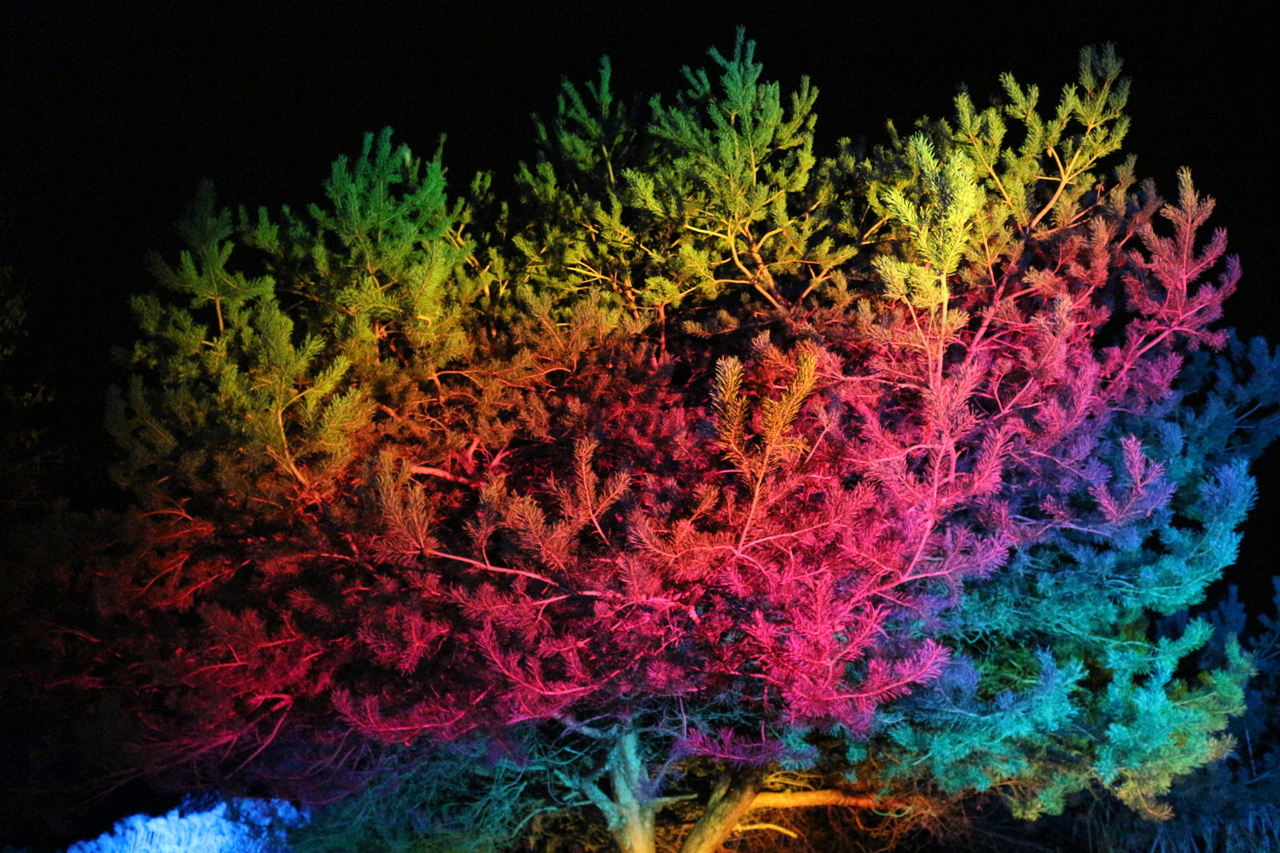 Copyright Claire Curt