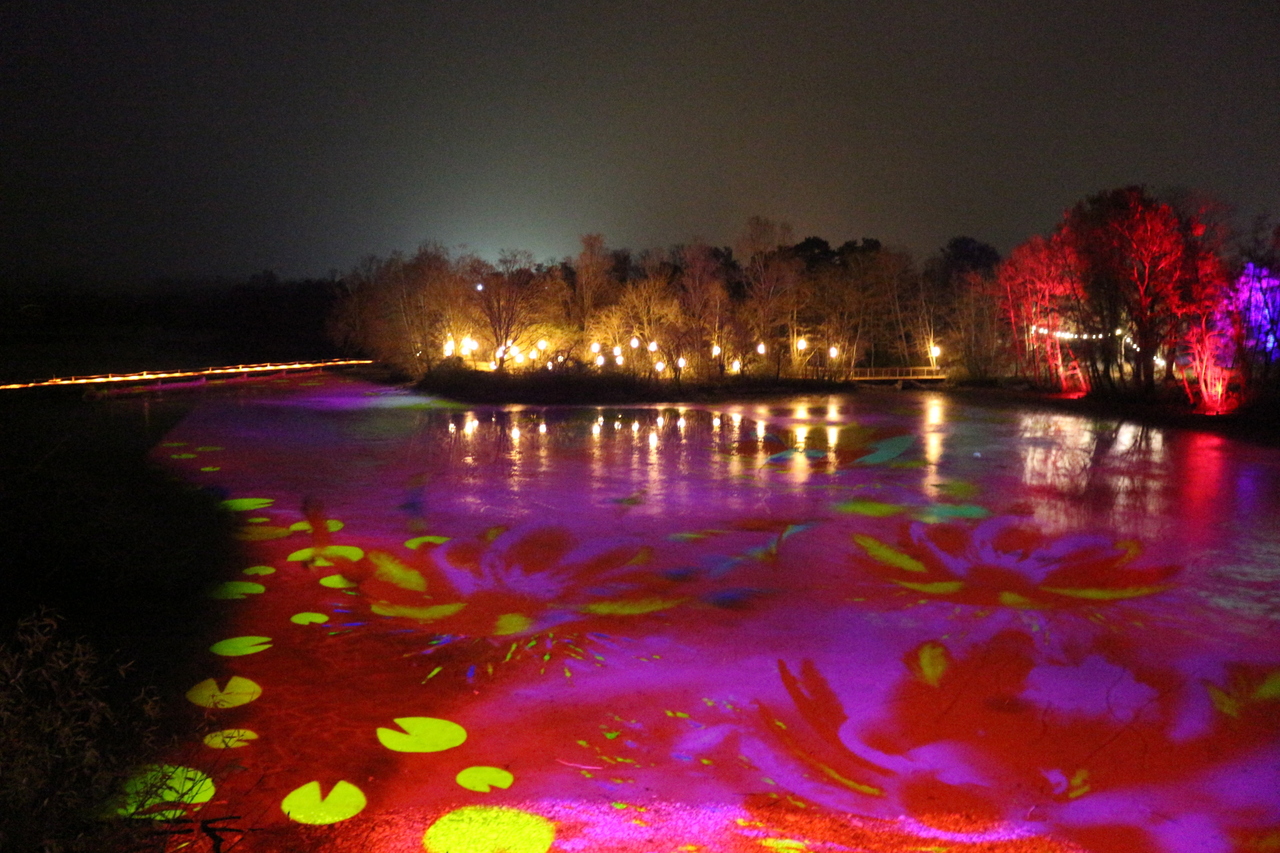 Copyright Claire Curt