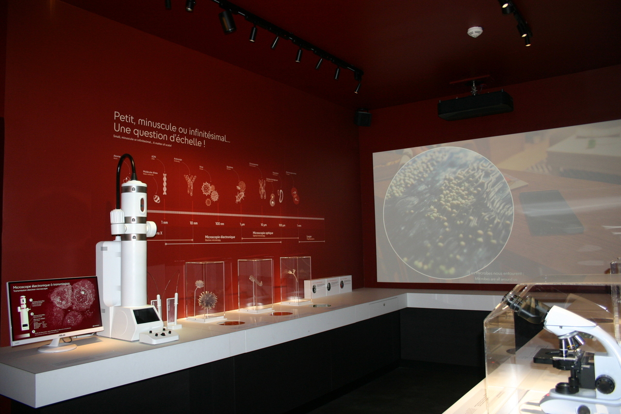 Copyright Musée de sciences biologiques Dr Mérieux