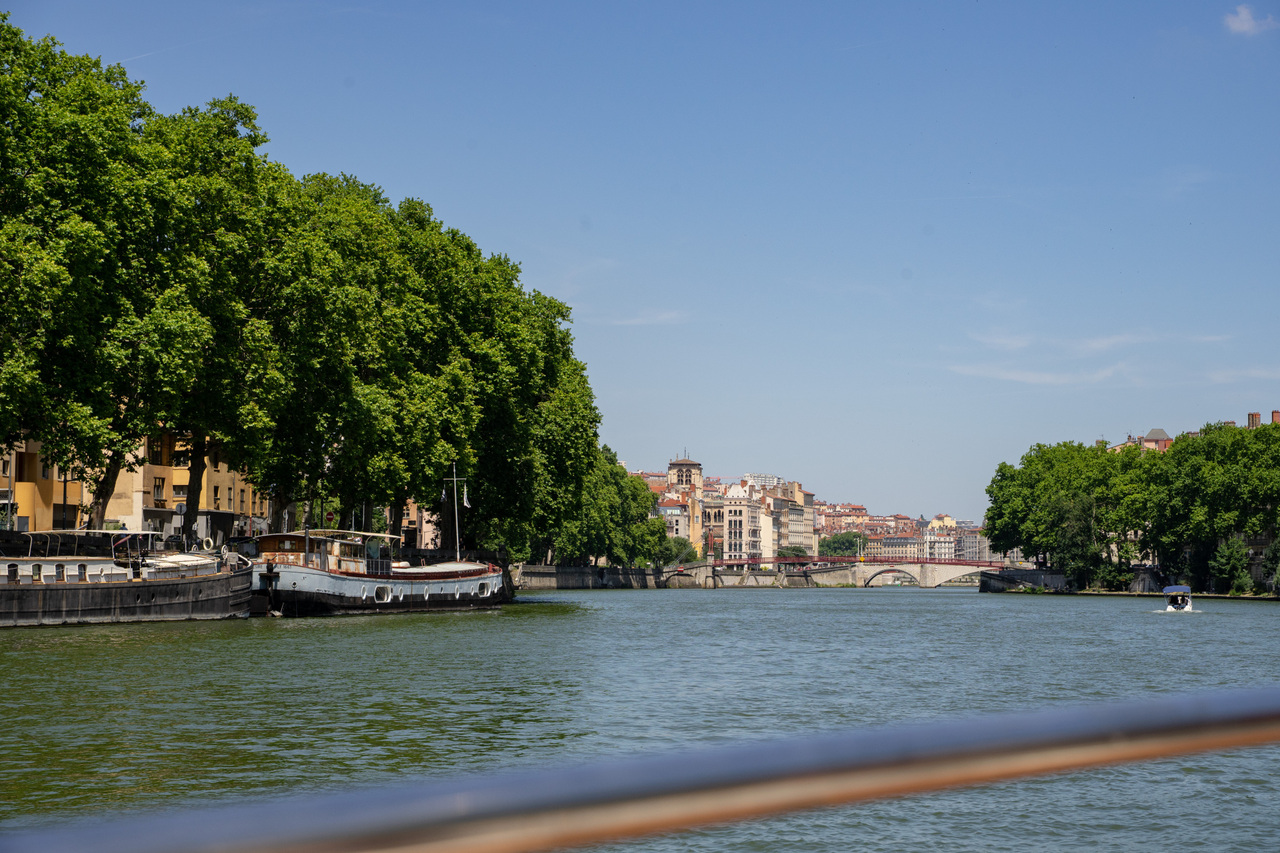 Copyright ©ONLYLYON