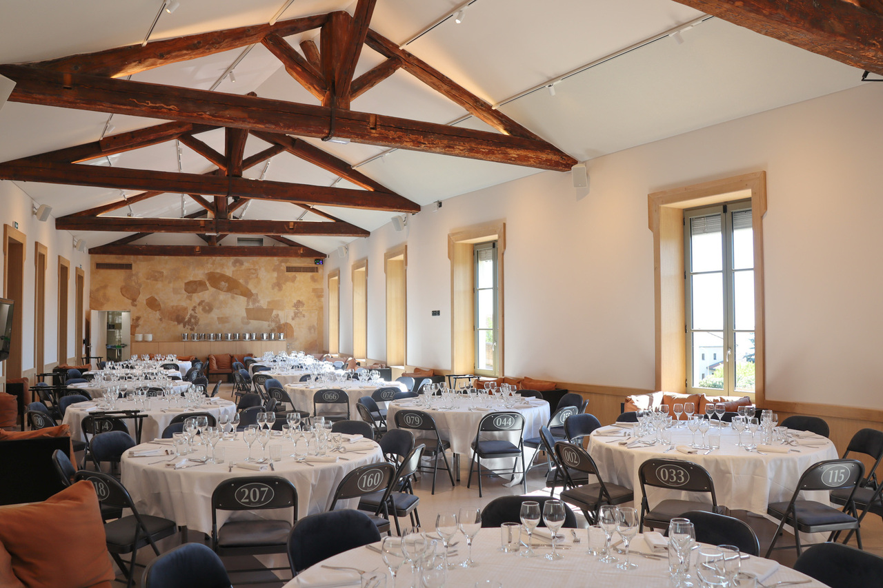 Copyright Pauleen Ducher