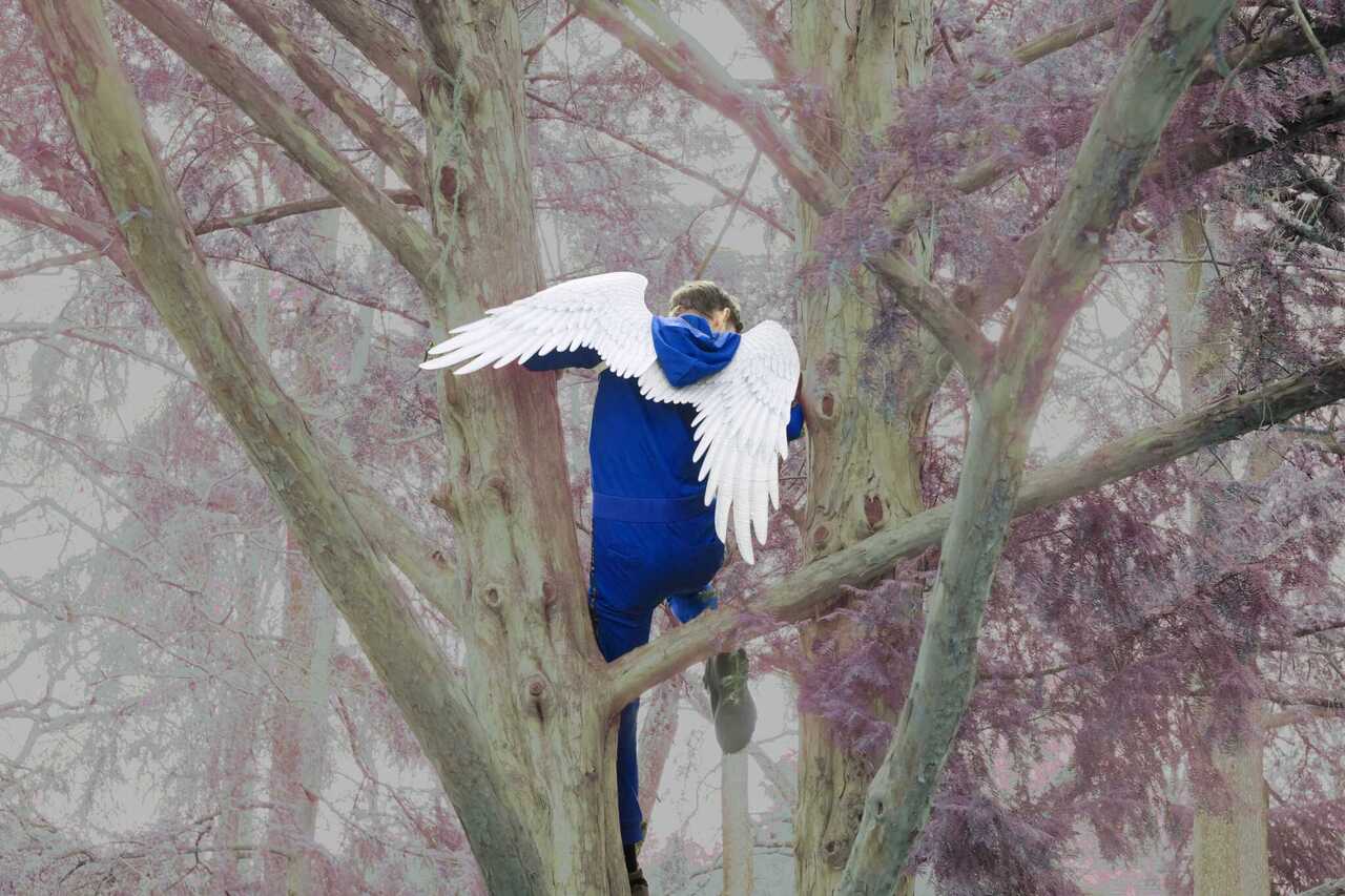 Copyright Jeanne Garraud