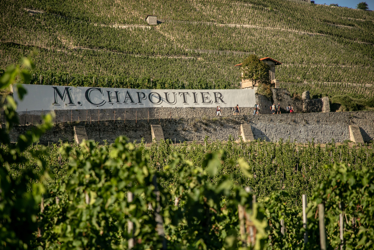 Copyright Ecole M. CHAPOUTIER