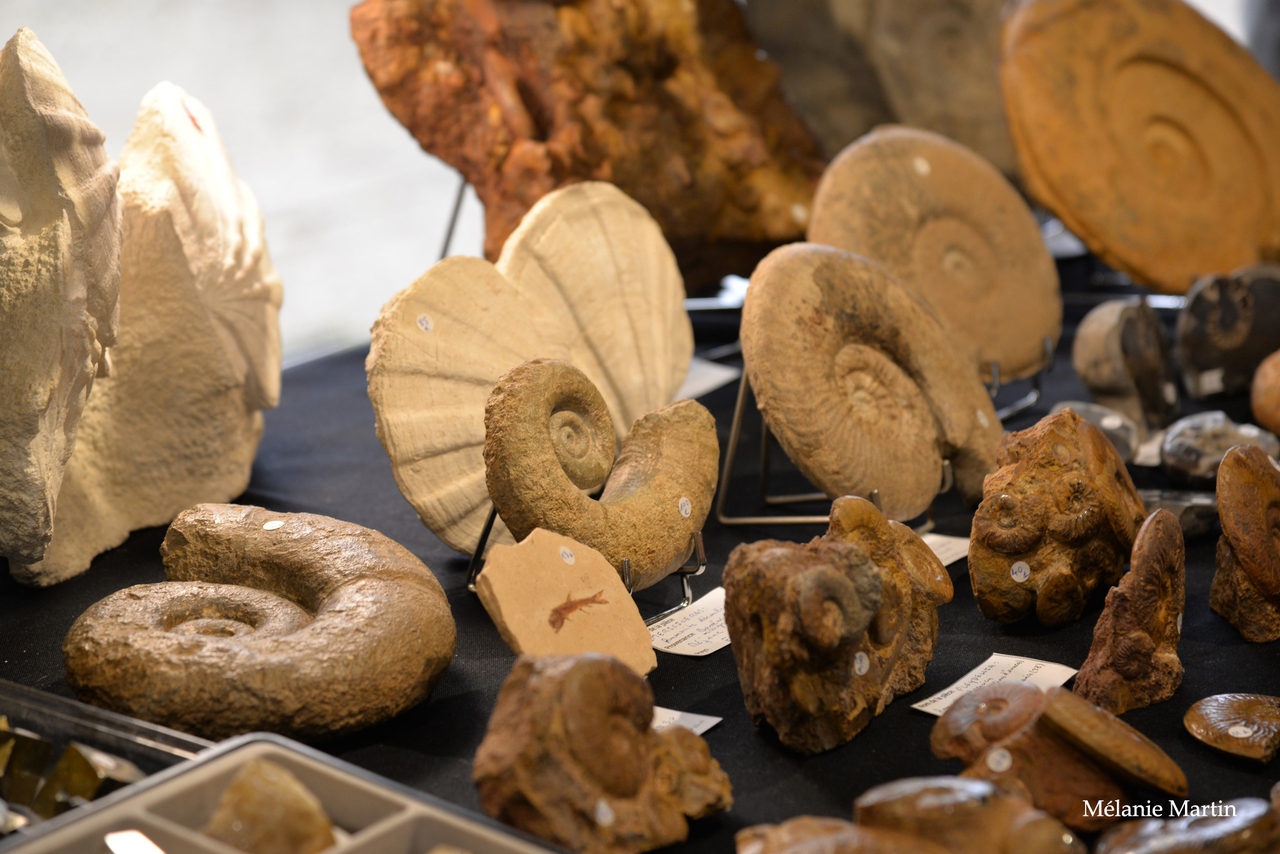 Copyright Mélanie Martin