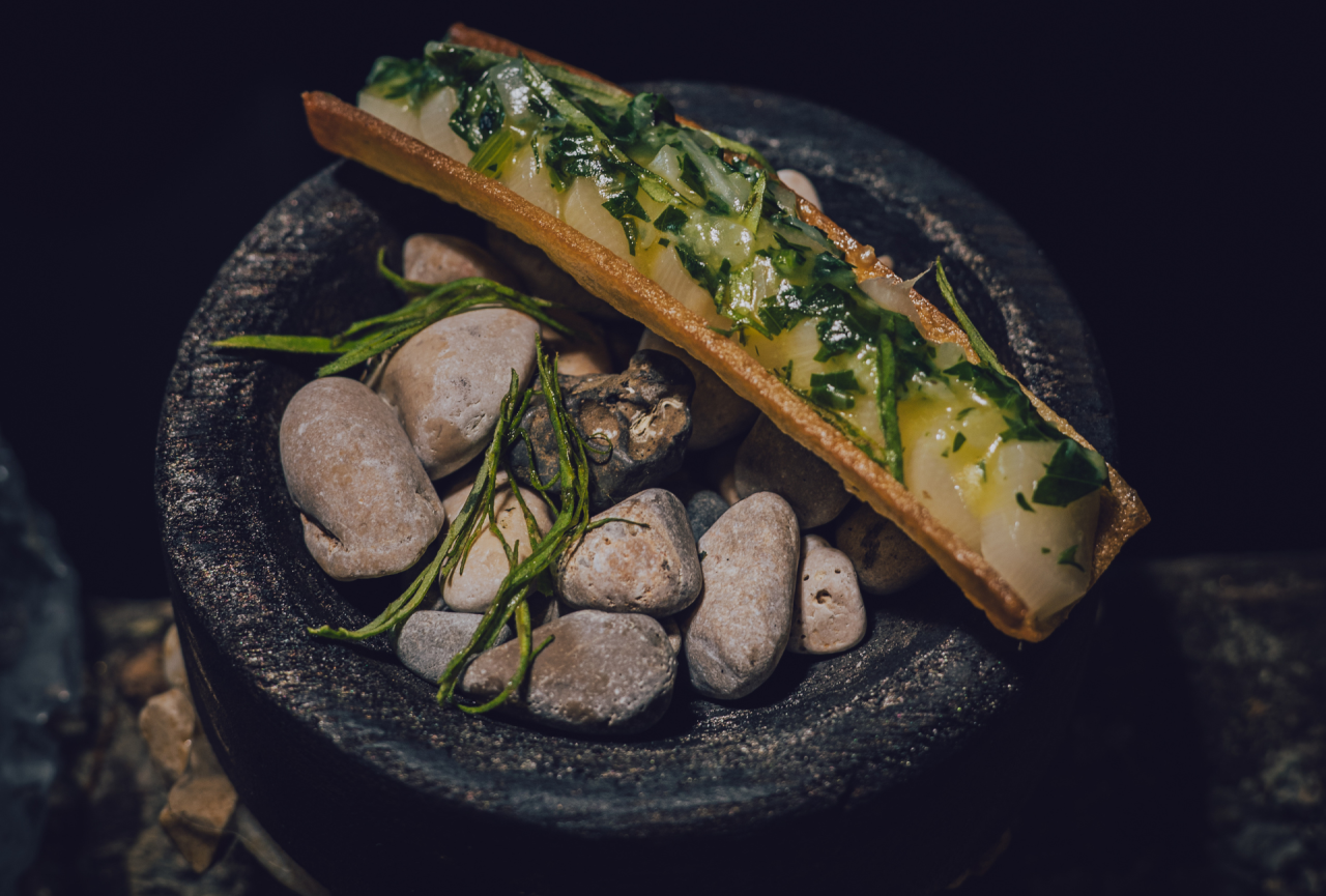 Copyright Maude Studio Photonomie