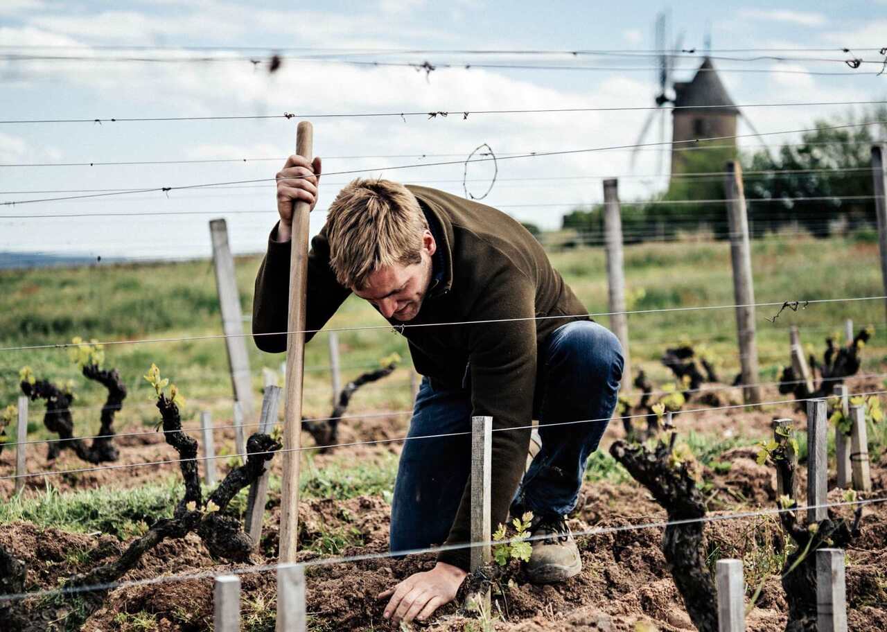Copyright Château du Moulin-à-Vent