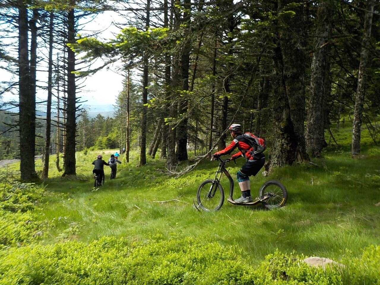 Copyright Trottnature