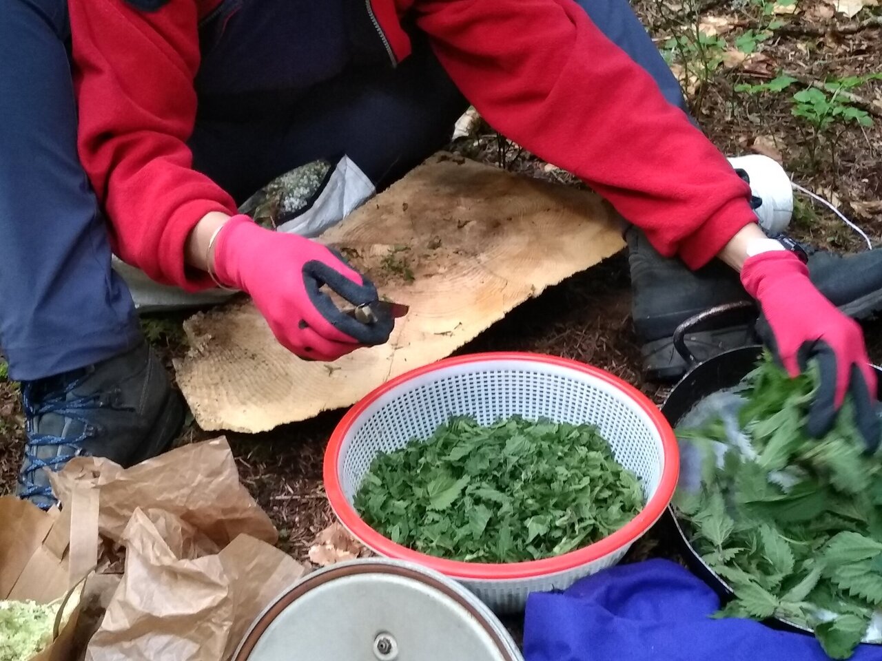 Copyright trottnature