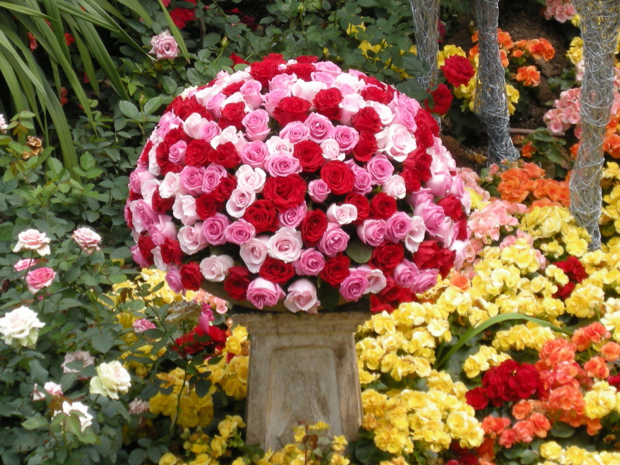 Copyright Florissimo