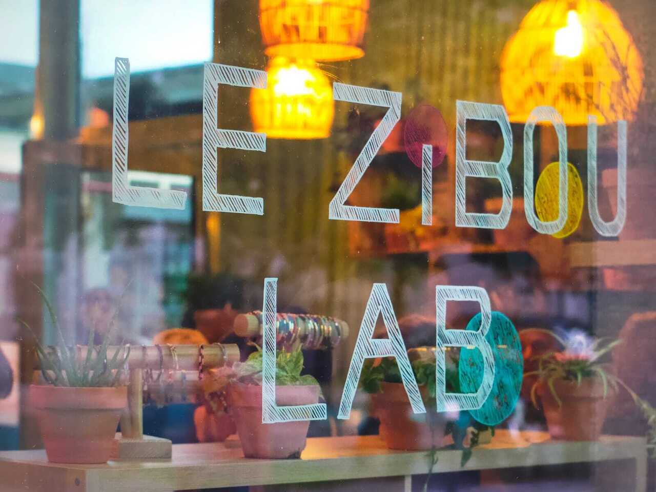 Copyright Zibou Lab