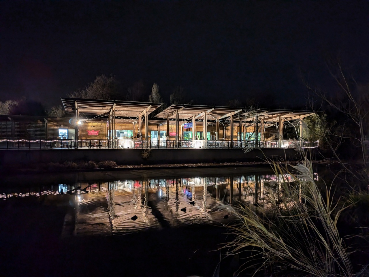 Copyright Claire Curt