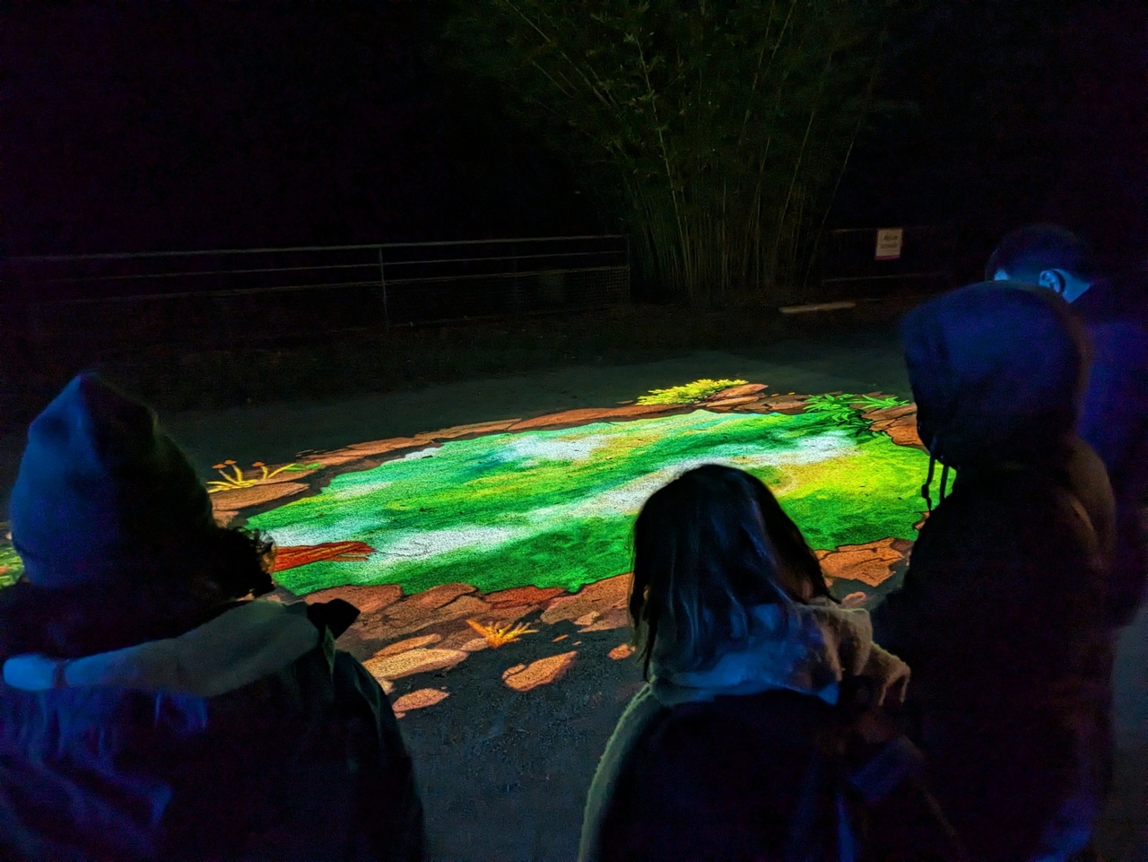 Copyright Claire Curt