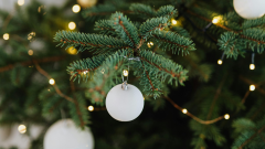 Copyright Karola G de Pexels