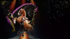 Copyright LDLC Arena