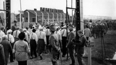 Copyright © Zespol Filmowy Kamera / DR