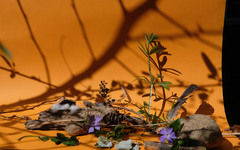 Copyright Florence Croizier