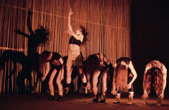Copyright Maison de la Danse de Lyon