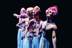 Copyright Maison de la Danse de Lyon