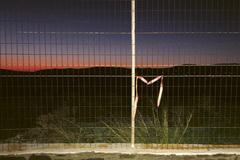 Copyright Letizia Le Fur