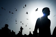 Copyright Bertrand Gaudillère