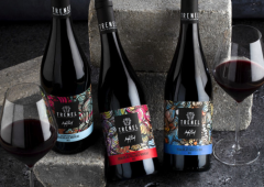 Copyright M.CHAPOUTIER