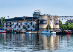 Copyright Ingrid Moya