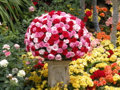 Copyright Florissimo