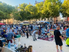 Copyright Lions Club Lyon-Horizon